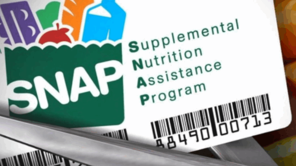 July SNAP Benefits Breakdown: Who Gets Just $23 and Who Could Get $1,756 by State 2 SNAP